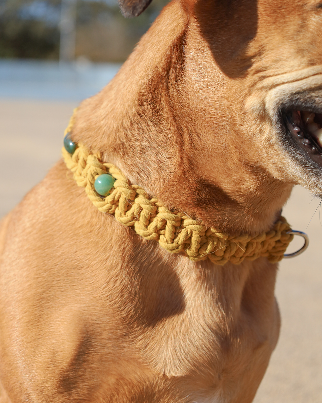 Collar de Jade y Ágata Musgosa